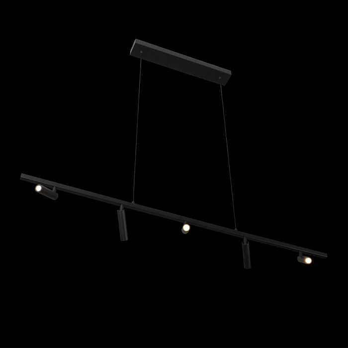 Светильник LOFT IT 10260/5 Black